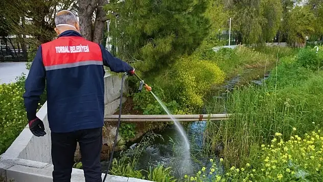 Torbalı'da sivrisinekle mücadele 12 ay sürüyor