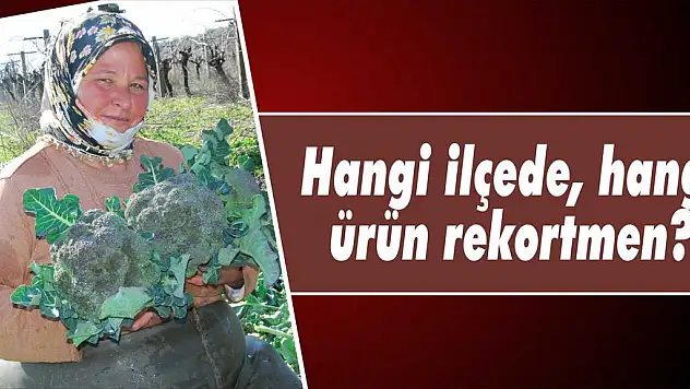 Torbalı, Ödemiş ve Tire üretimde yarışıyor