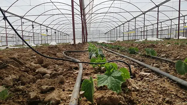 Torbalı ovası verimi arttırmaya çalışıyor