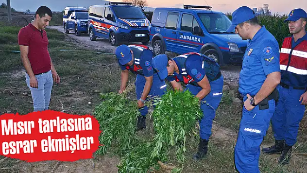 Torbalı’da drone destekli uyuşturucu operasyonu