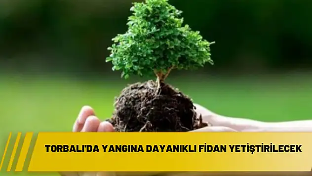 Torbalı’da yangına dayanıklı fidan yetiştirilecek
