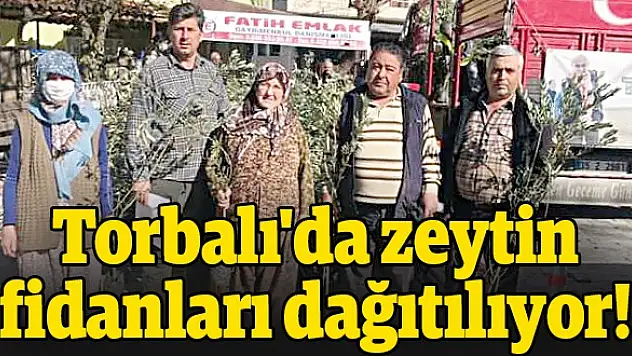 Torbalı’da zeytin fidanları dağıtılıyor!