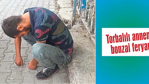 Torbalılı annenin bonzai feryadı
