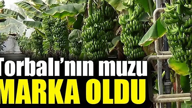 Torbalı'nın muzu marka oldu
