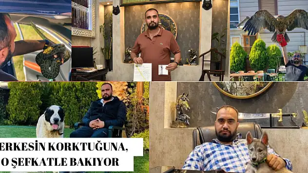 TORBALI'NIN SIRA DIŞI İŞ ADAMI