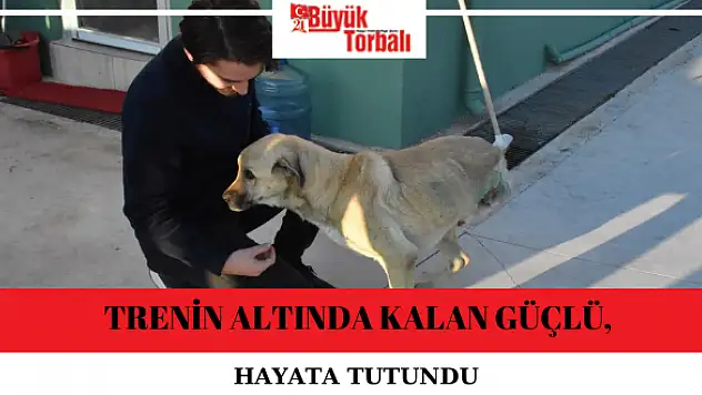Trenin altında kalan Güçlü, hayata tutundu