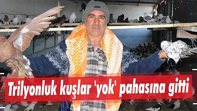 Trilyonluk kuşlar 'yok' pahasına gitti