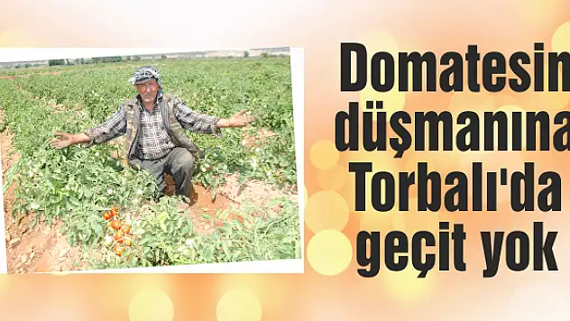 Türkiye'nin baş belası ovaya giremeyecek!