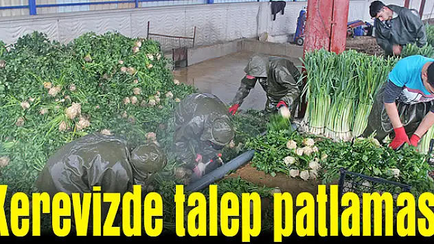 Türkiye’nin her noktasına gidiyor