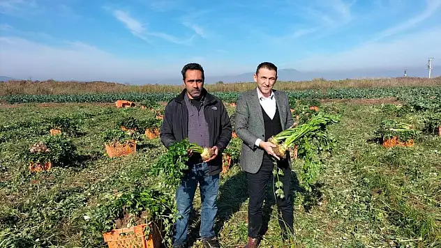 TÜRKİYE'Yİ TORBALI DOYURUYOR