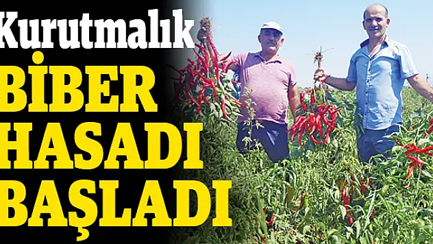 Ülkenin her noktasına gidiyor
