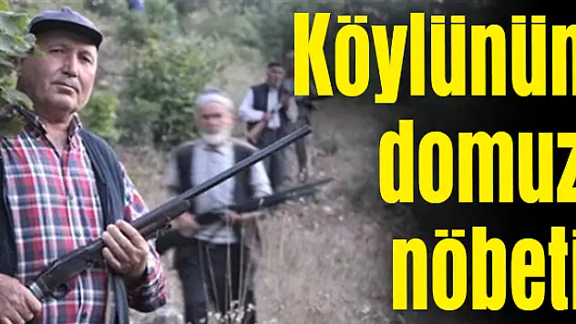 Üreticilerin kabusu