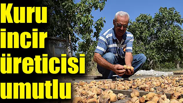 Üreticinin beklentisi 20 TL