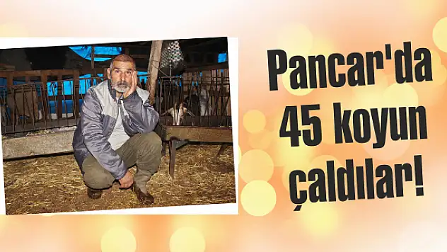 Üreticinin emeğini çaldılar!