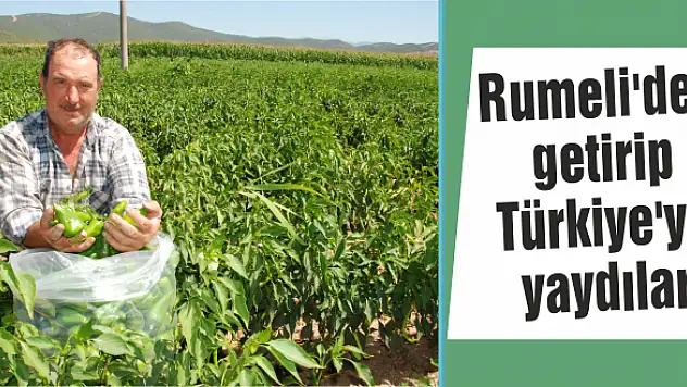 Üretim artınca fiyat düştü