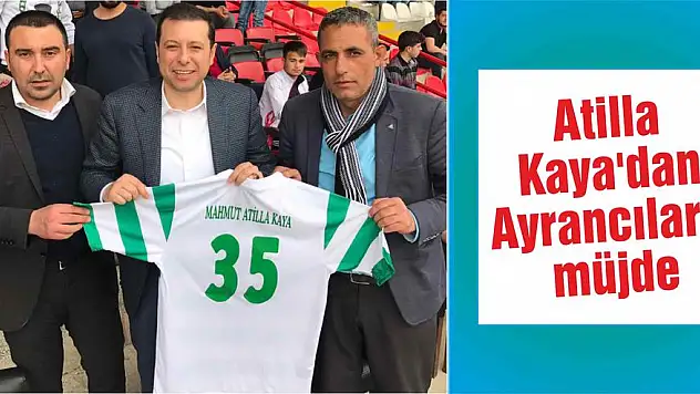 Vekilden stat sözü