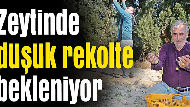 Verimin düşük olacağı ön görülüyor