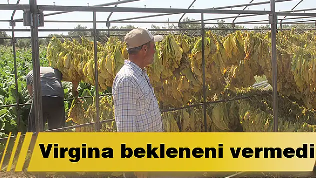 Virginia bekleneni vermedi