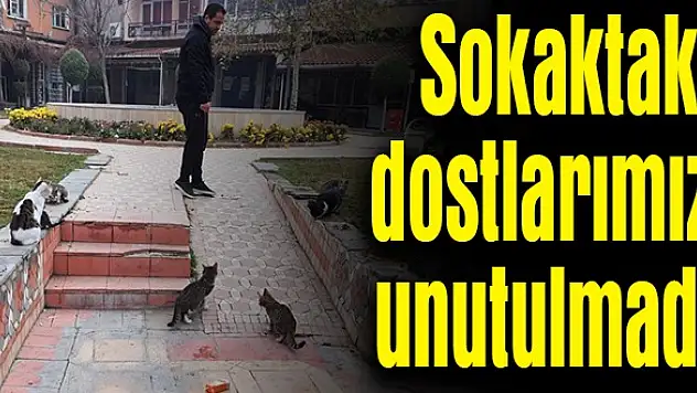 YASAKTA ONLARI YANLIZ BIRAKMIYORLAR