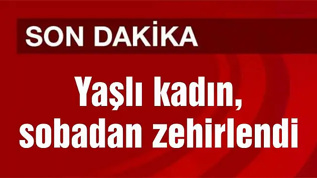 Yaşlı kadın, sobadan zehirlendi