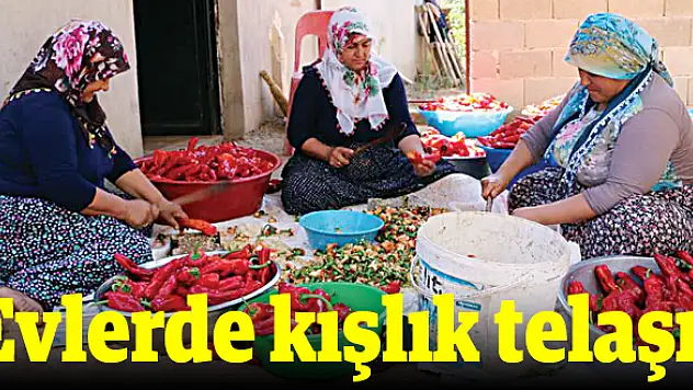 Yaz tatlarıyla kışa hazırlık!