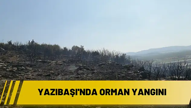 Kuşçuburun ve Yazıbaşı mevkisinde orman yangını