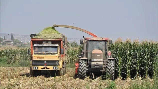 Yazın mısır, kışın pırasa