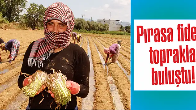 Yazın ortasında kış hazırlığı başladı