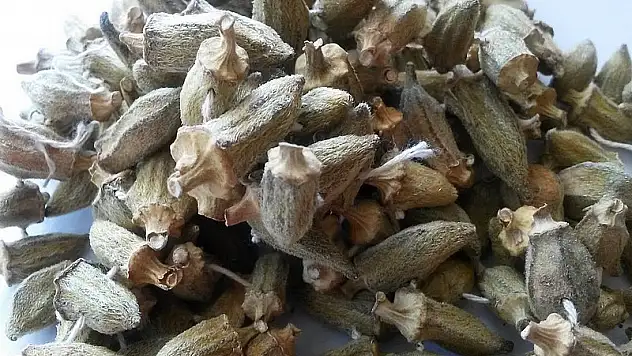 Yemesi de güzel alması da