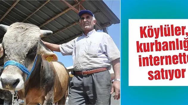 Yeni pazarlama taktiği: Kurbanlıklar internete düştü!