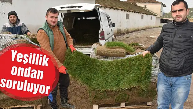 Yeşillik ondan soruluyor