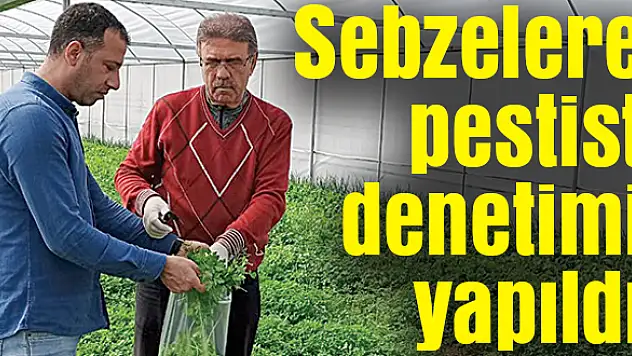 Yetkililer numune aldı