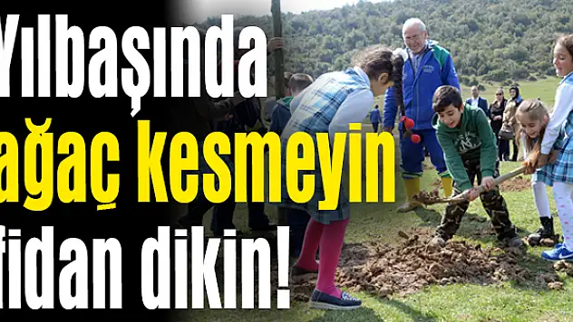 Yılbaşında fidan dikin!