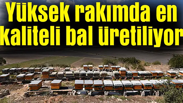 Yüksek rakımda en kaliteli bal üretiliyor