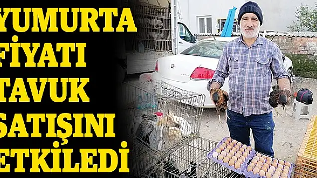 Yumurta fiyatı tavuk satışını etkiledi