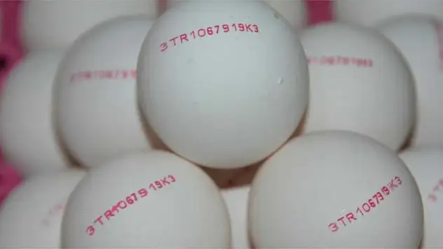 Yumurtalar yeni kodlarıyla piyasaya sunuluyor