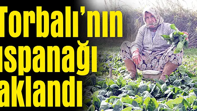 Zararlı hiçbirşeye rastlanmadı