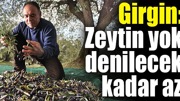 Zeytin üreticiyi üzdü