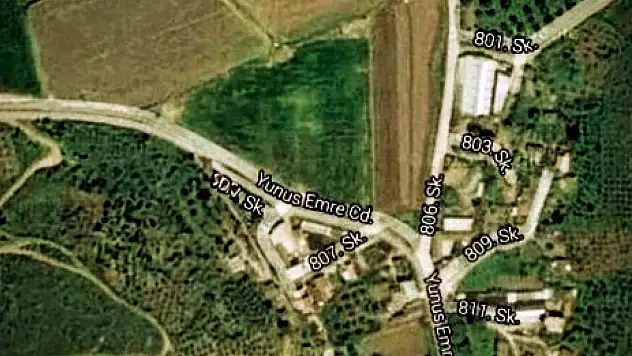 Zeytinlik engeli, kalker ocağı projelerini durdurdu