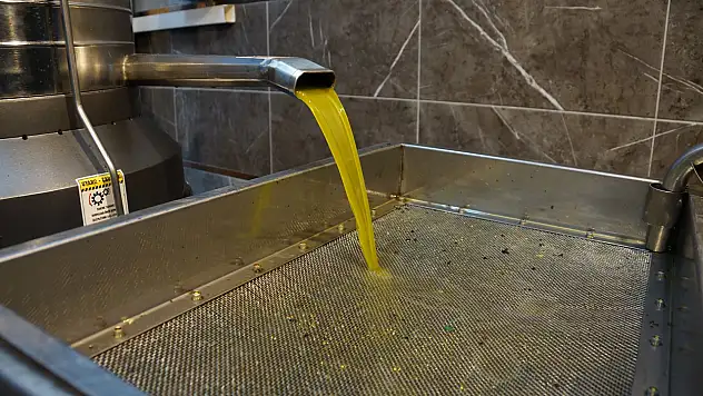 Zeytinyağı fiyatları belli oldu: Fiyatlar arttı