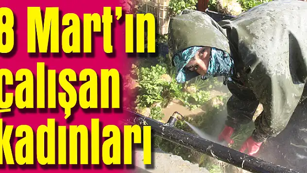 Zor şartlar altında çalışıyorlar