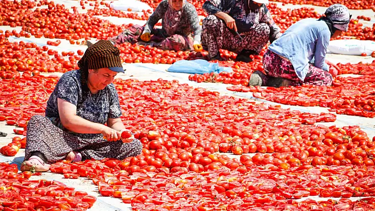 Büyükşehir Torbalı'da kuru domates işçilerini yalnız bırakmadı
