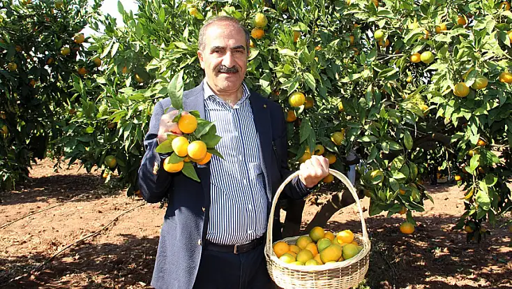 Ege, yaş meyve sebze ihracatında lokomotif oldu