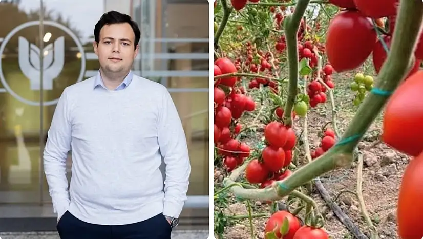 Domateste güneş enerjili akıllı sera dönemi başladı