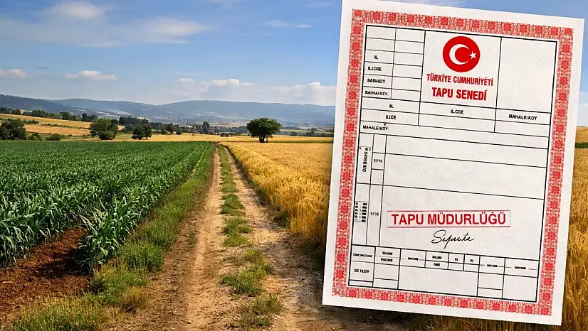 Yargıtay'dan ortak tapular için kritik karar