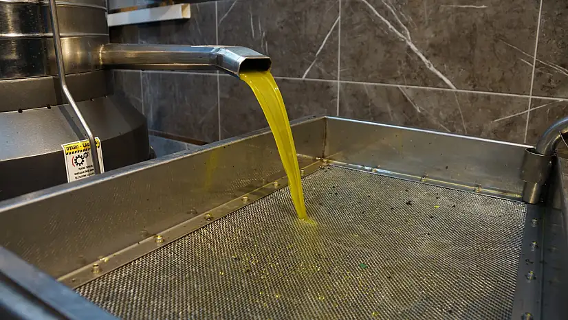 Zeytinyağı fiyatları belli oldu: Fiyatlar arttı