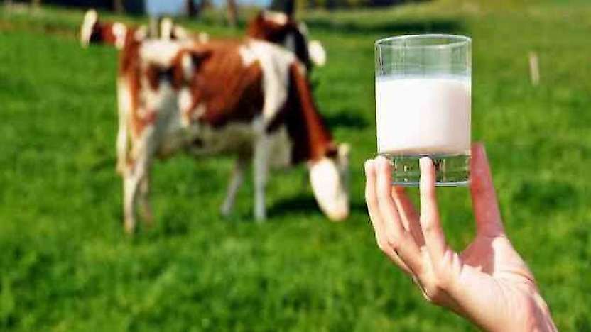 Ağustos ayında süt üretimi arttı