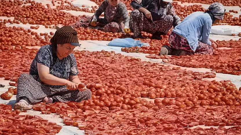 Büyükşehir Torbalı'da kuru domates işçilerini yalnız bırakmadı