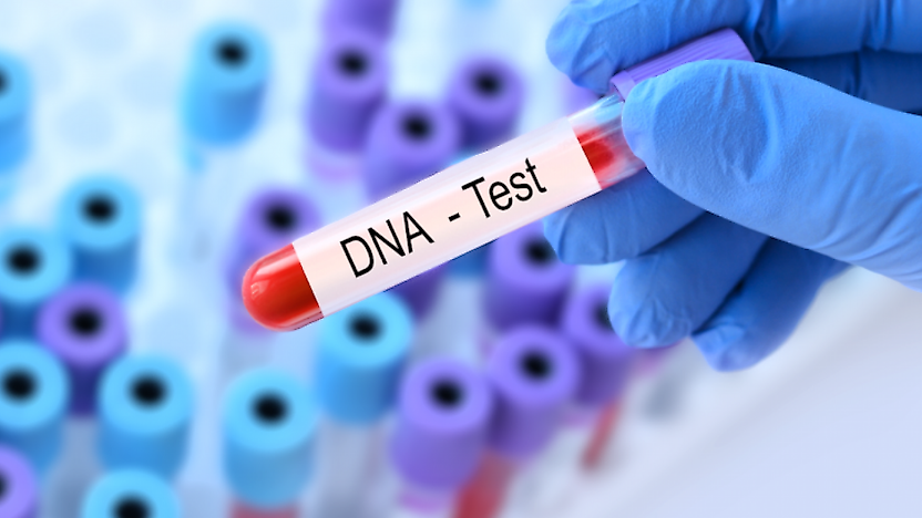 Hamid Yorulmaz'ın babalık DNA testi sonucu açıklandı