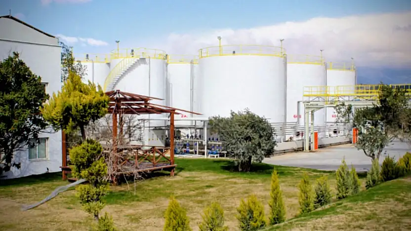 İhracat şampiyonu Verde Yağ listeden düştü!